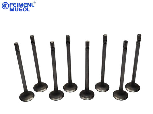 Καλή τιμή Η βαλβίδα πρόσληψης ταιριάζει στο Ford Transit V348, Puma2.4, OEM XS7Q-6507-A3C σε απευθείας σύνδεση